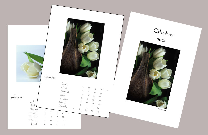 Aspect gnral du calendrier